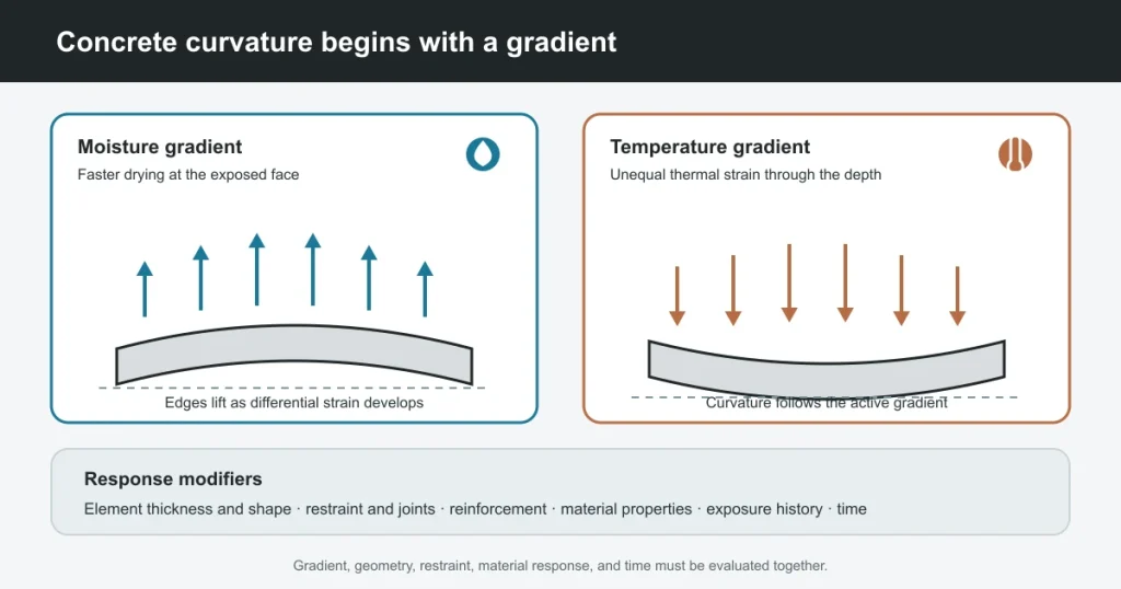 Warping and Curling in Concrete Tiles: Causes and Prevention